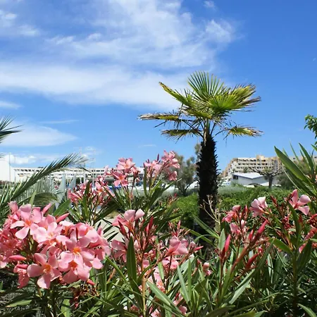 Διαμέρισμα Naturiste Port Soleil - 2 Pieces Pour 2 Personnes 124 Agde